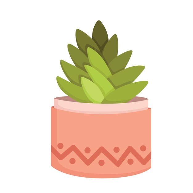 Cactus Home Plants Indoor Illustration Vector Clipart