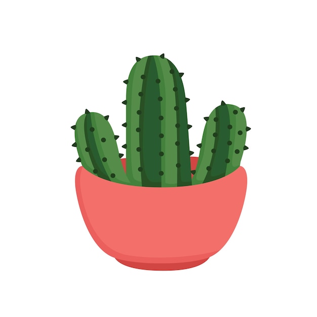 Cactus home plants indoor illustration vector clipart