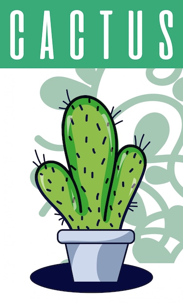 Cactus house plant