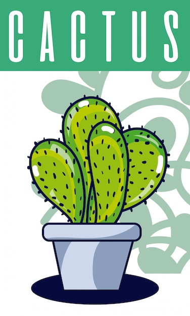 Pianta di casa di cactus