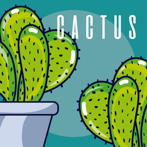 Piante di casa di cactus