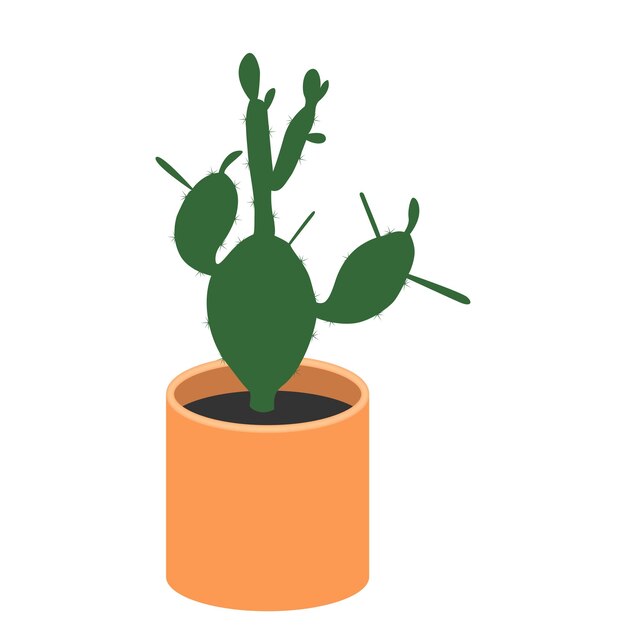 Cactus houseplant icon