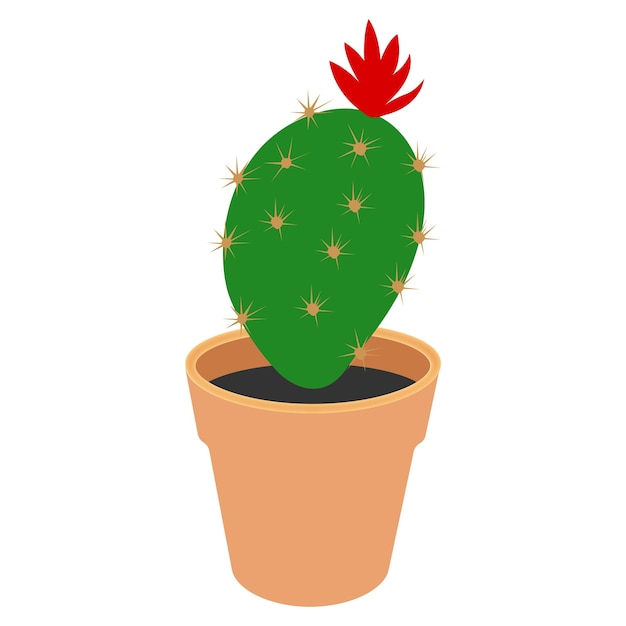 Icona della pianta d'appartamento del cactus