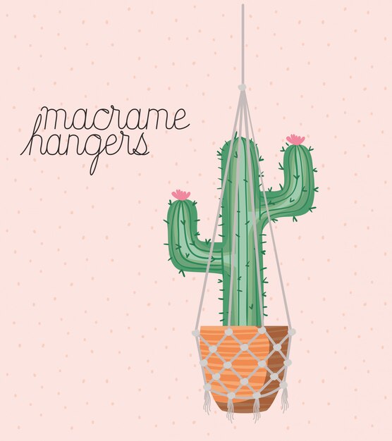 Cactus houseplant in macrame hangers