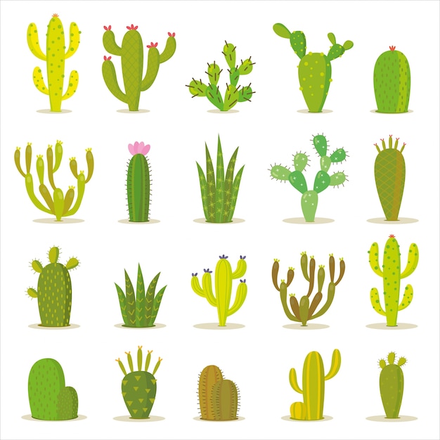 Cactus icon collection