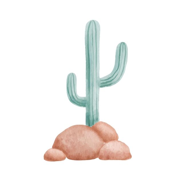 Cactus illustratie geïsoleerd op wit