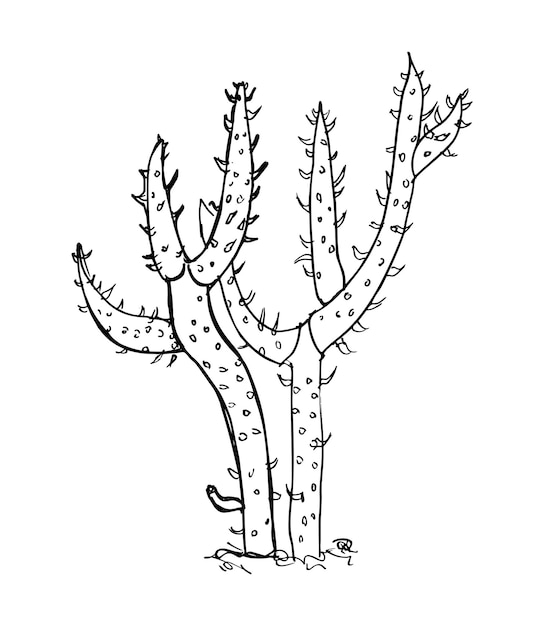 Cactus Illustration in Art Ink Style