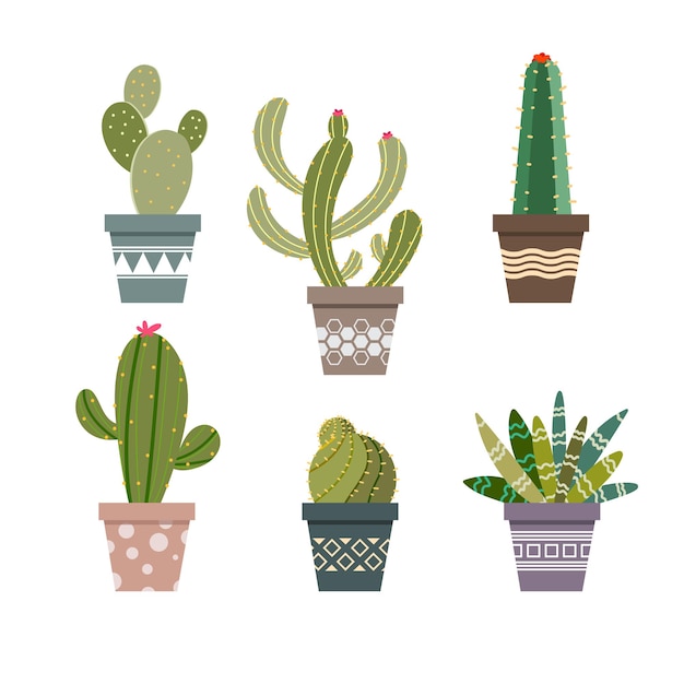 cactus illustration in flat cartoon style