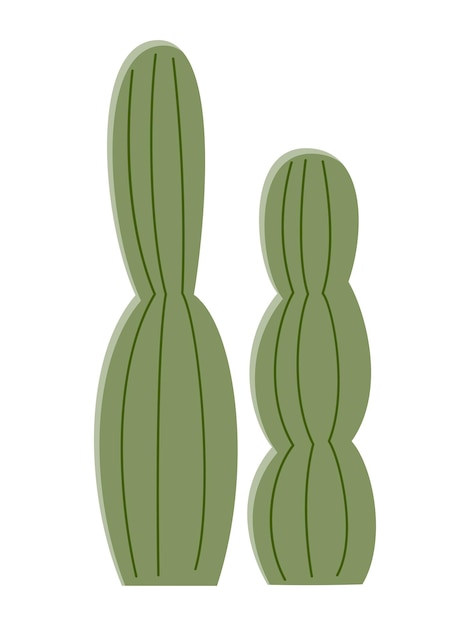 Cactus illustration in a flat style on a white background Home plants cactus illustration