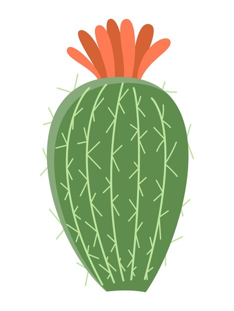 Vettore illustrazione di cactus in uno stile piatto su sfondo bianco illustrazione di cactus delle piante domestiche