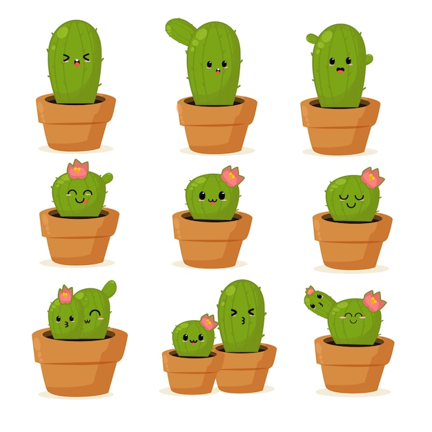 Illustrazione di cactus