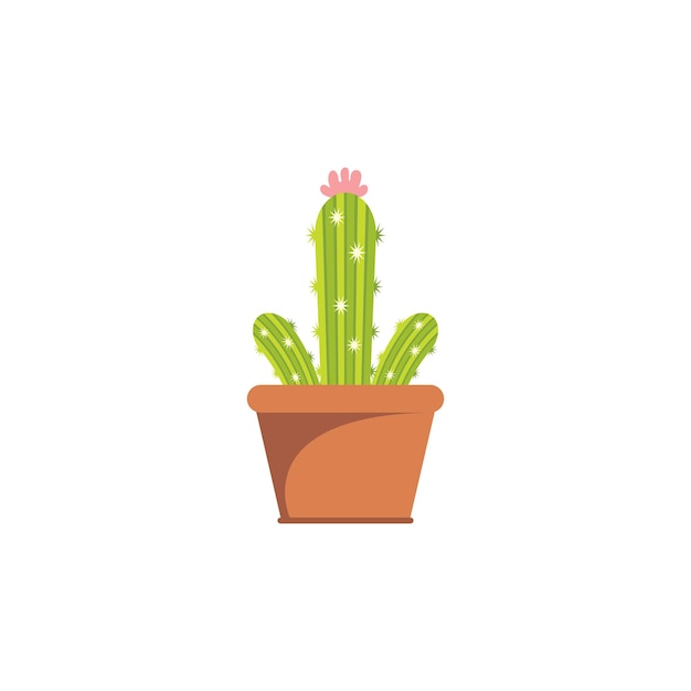 Vector cactus illustration