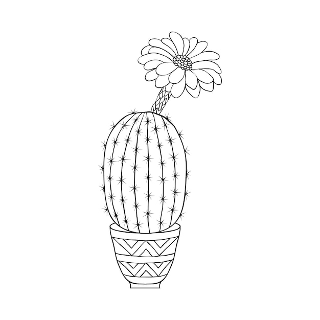 Cactus in doodle stijl op witte achtergrond. kleurplaat voor kinderen en volwassenen.