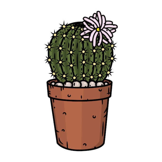 Vector cactus in een pot. illustratie geïsoleerd