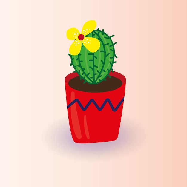 cactus in een pot