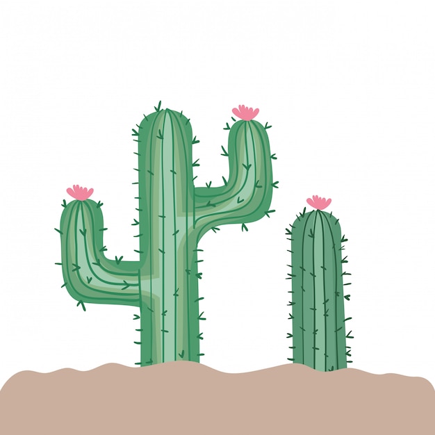 Vector cactus in geïsoleerd landschap