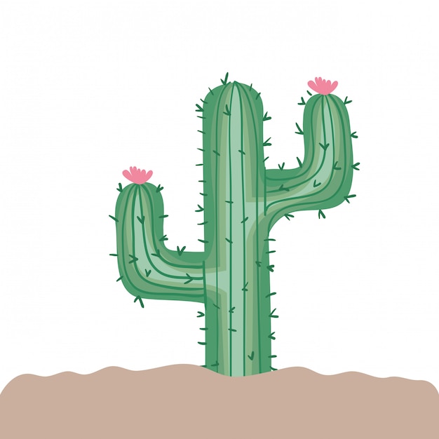 Vector cactus in landscape isolated