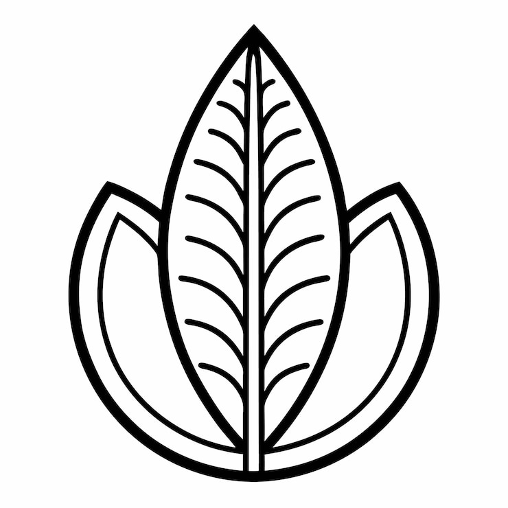 Vector cactus leaf icon vector illustration on white background