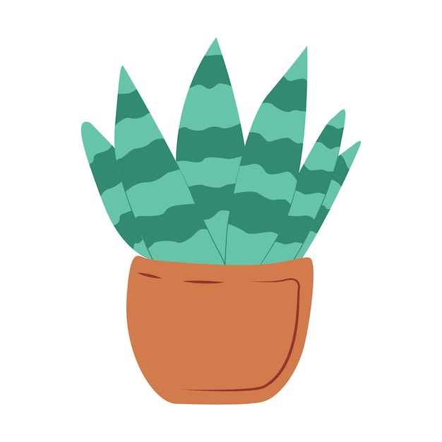 Vector cactus met gestreepte bladeren in pot handgetekende illustratie geïsoleerd op een witte achtergrond