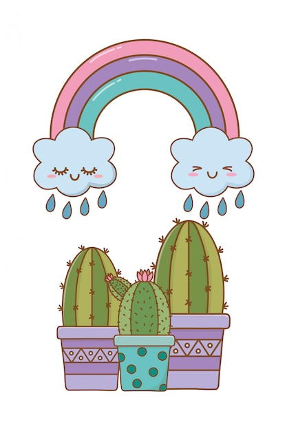 Cactus met wolk en regenboog