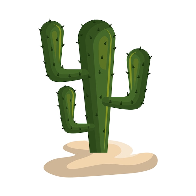 Cactus mexican plant icon vector illustration design