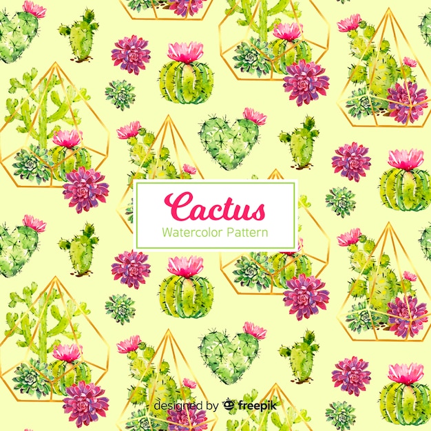 Cactus patroon