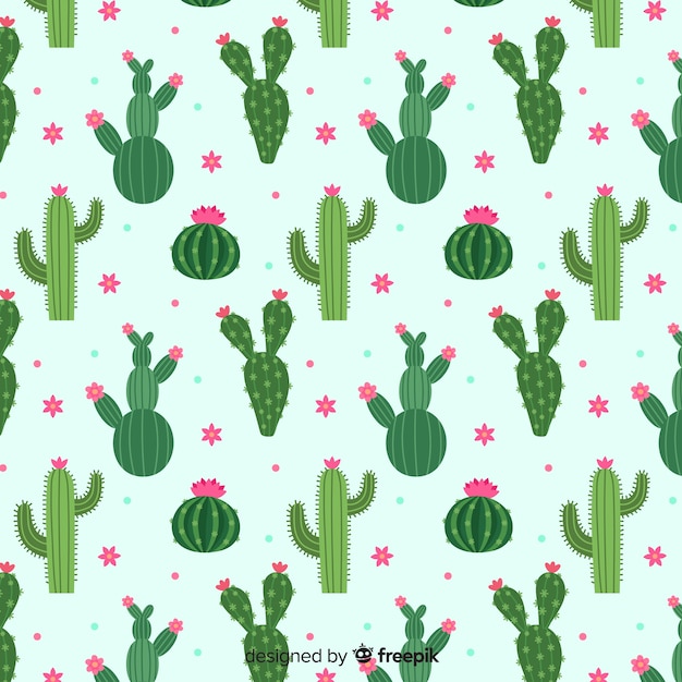 Cactus pattern collection