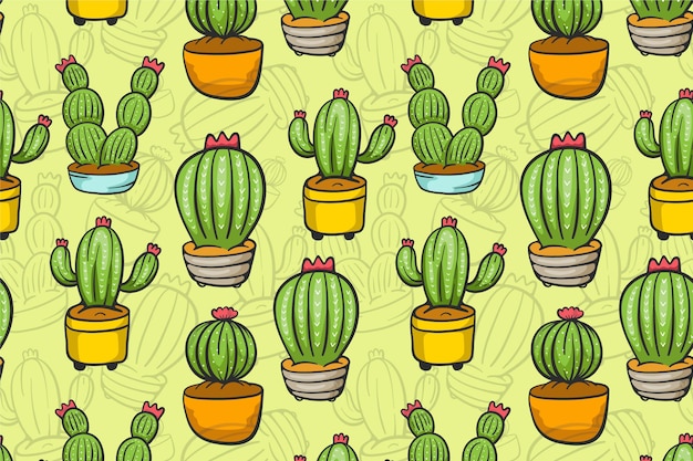 Vector cactus pattern concept