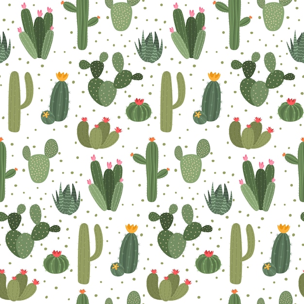 Modello di cactus carino stampa senza soluzione di continuità con piante esotiche con fiori e spine su sfondo bianco succulente casa decorazione floreale verde botanica fioritura arredamento vettore fumetto illustrazione