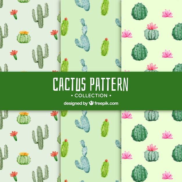 Vettore cactus modelli con stile bello