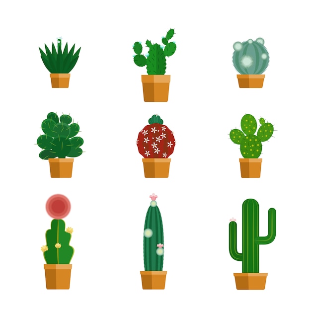 Cactus pictogrammen in vlakke stijl