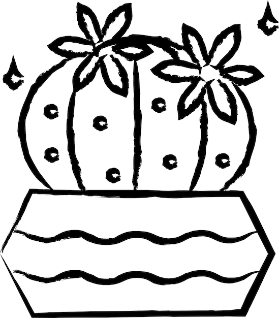 Cactus Plant hand drawn vector illustration