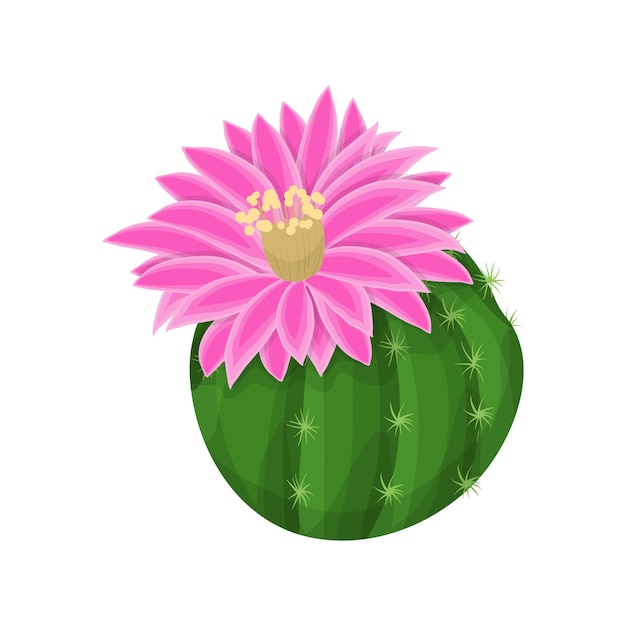 cactus plant illustratie