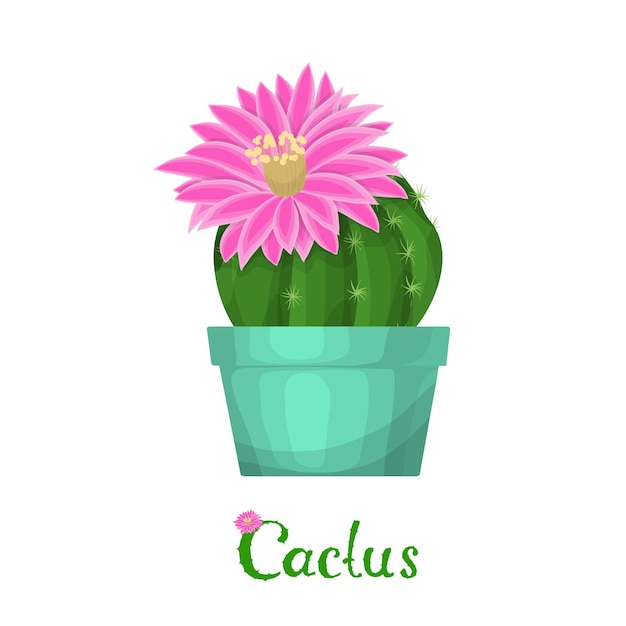 Cactus plant illustratie