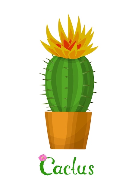 cactus plant illustratie