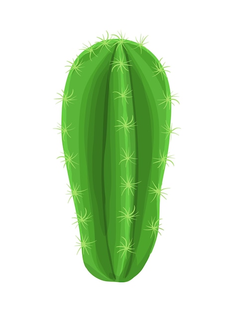 Vettore illustrazione della pianta del cactus