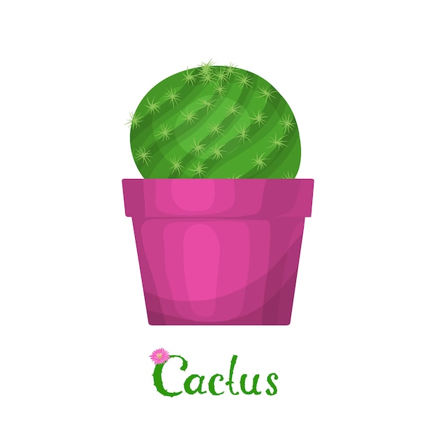 Cactus plant illustration