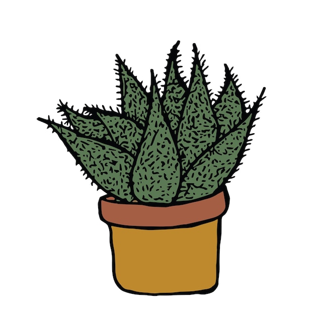 Cactus plant isolated object design