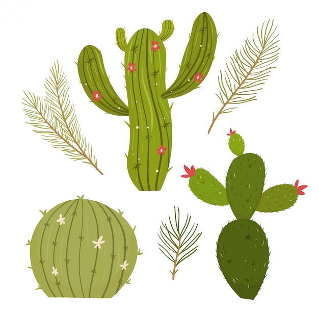 Cactus plant. modern plat concept.