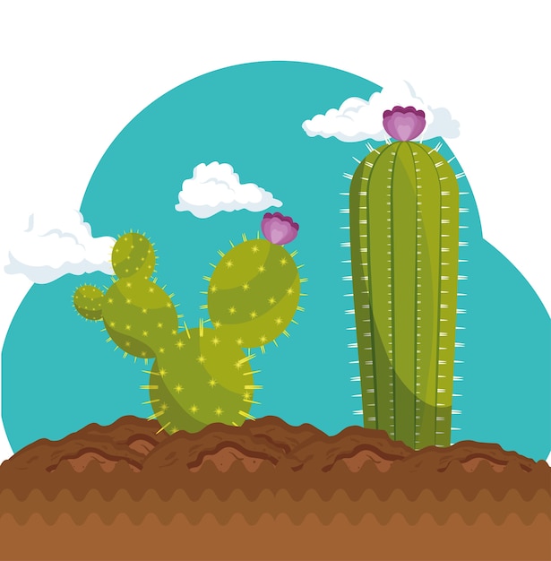 Cactus plant plantkunde pictogram