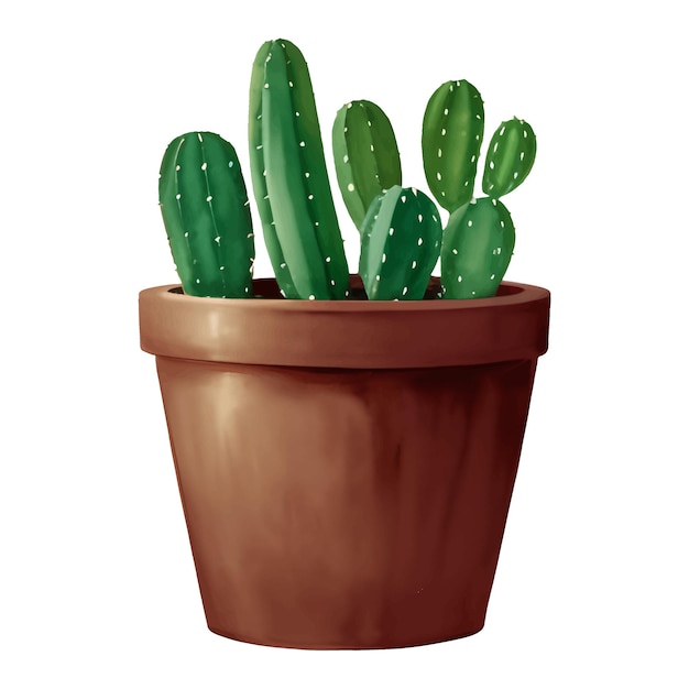 Vector cactus in a plant pot isolated detailed hand drawn painting illustration