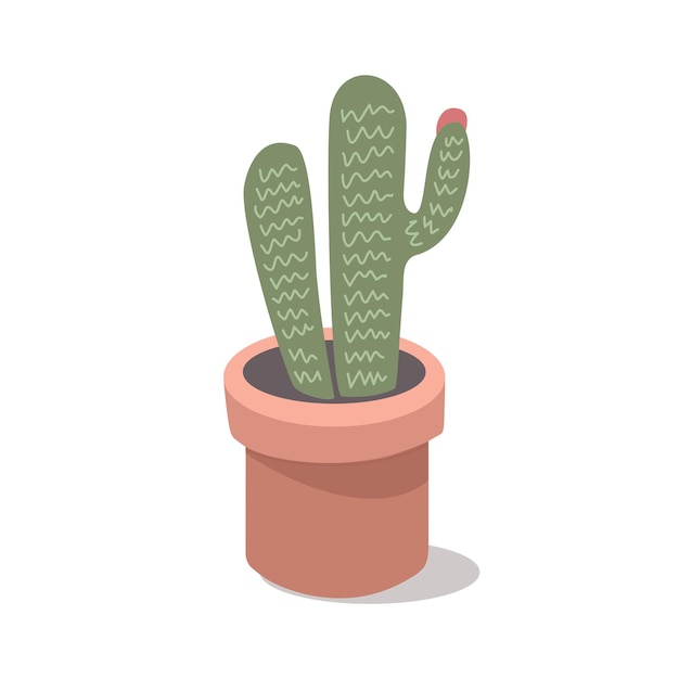 白い背景の鍋の中のカクタス植物
