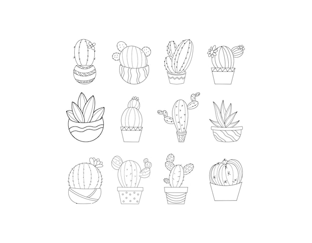 Cactus Plants Collection