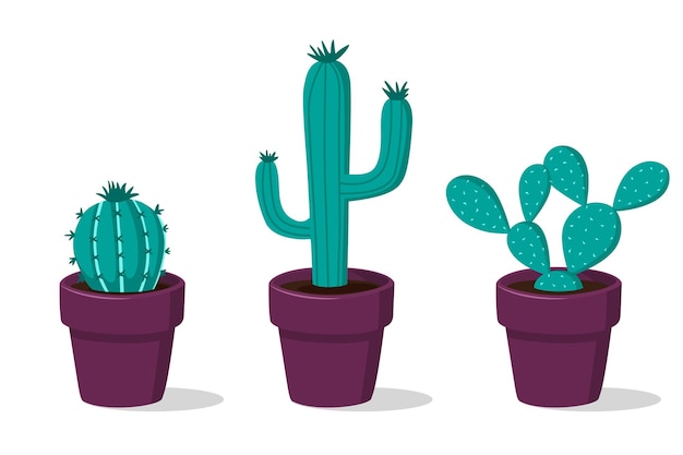 Cactus Plants In Pot for Decoration Vector Illustration