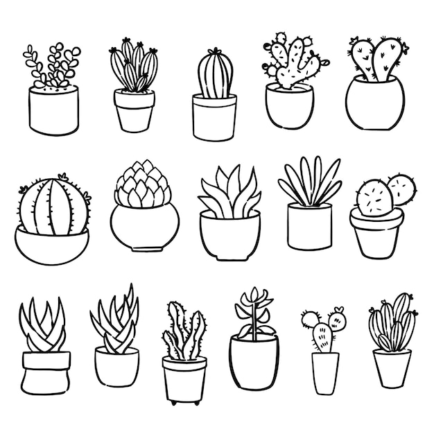 Vector cactus plants