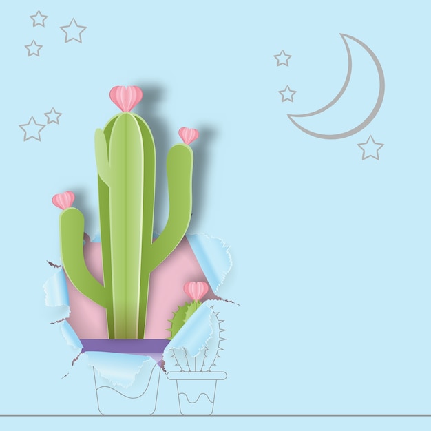 Cactus in pod with copyspace