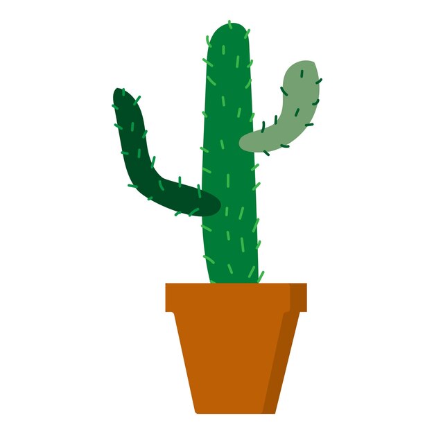 Vector cactus in pot in cartoon style on white background