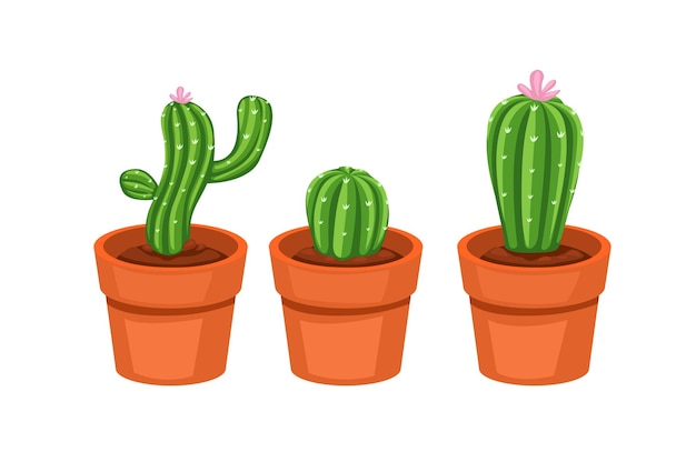 Set di raccolta cactus su vaso houseplant hobby e decorazione cartoon vettore