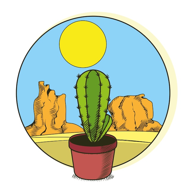 Cactus in pot on desert