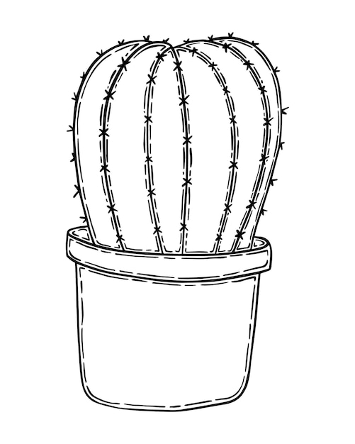 Vector cactus pot houseplant doodle linear cartoon